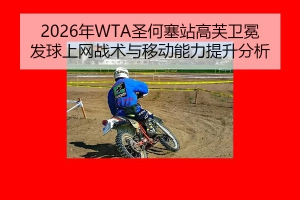 nian-sheng-he-sai-zhan-gao-fu-wei-mian-fa-qiu-shang-wang-zhan-shu-yu-yi-dong-neng-li-ti-sheng-fen-xi-2-741.jpg