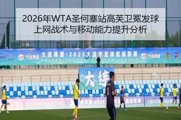 nian-sheng-he-sai-zhan-gao-fu-wei-mian-fa-qiu-shang-wang-zhan-shu-yu-yi-dong-neng-li-ti-sheng-fen-xi-3-734.jpg